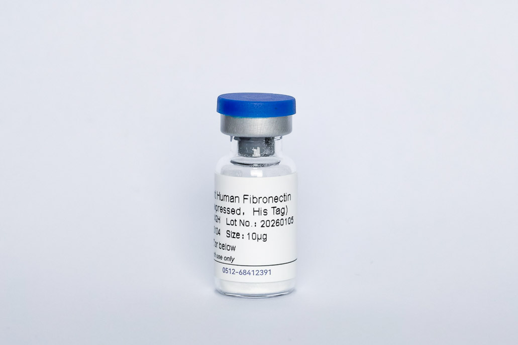 Recombinant Human Fibronectin