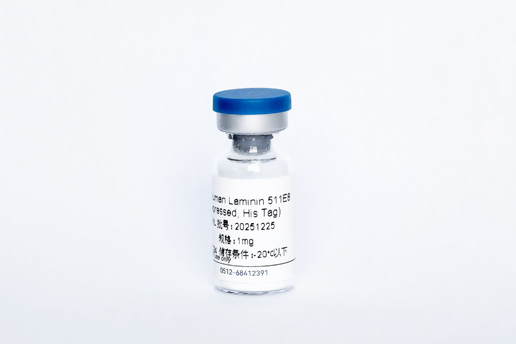 Recombinant Human Laminin511 E8