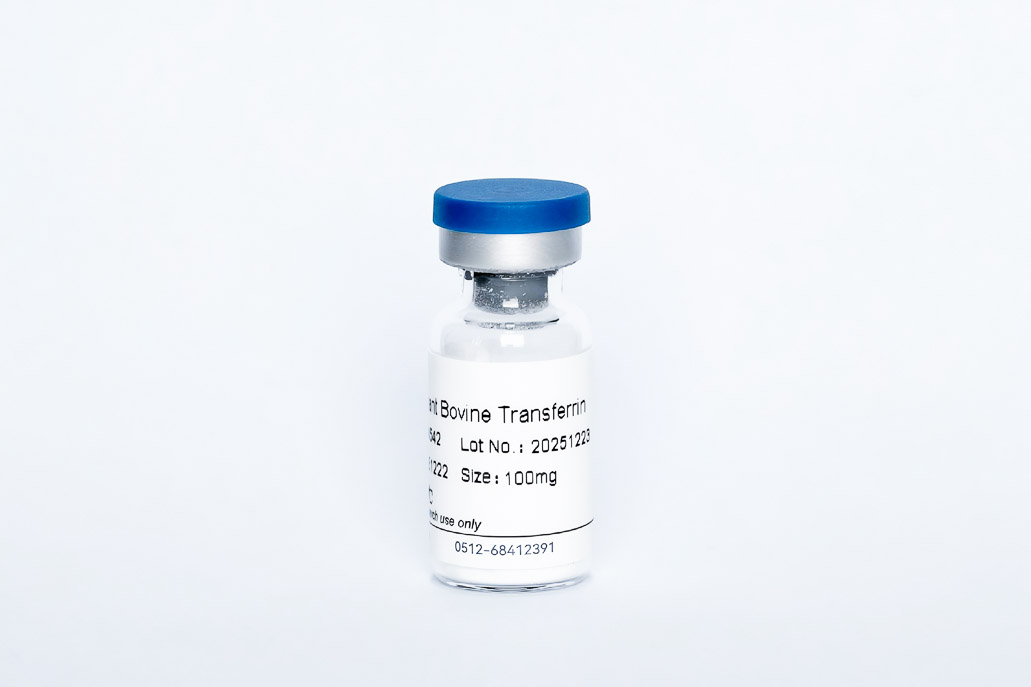 Recombinant Bovine Transferrin