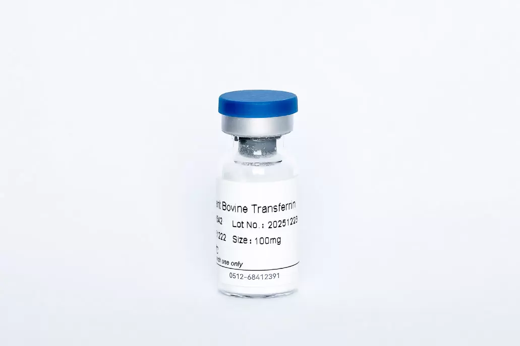 Recombinant Bovine Transferrin (HOLO)