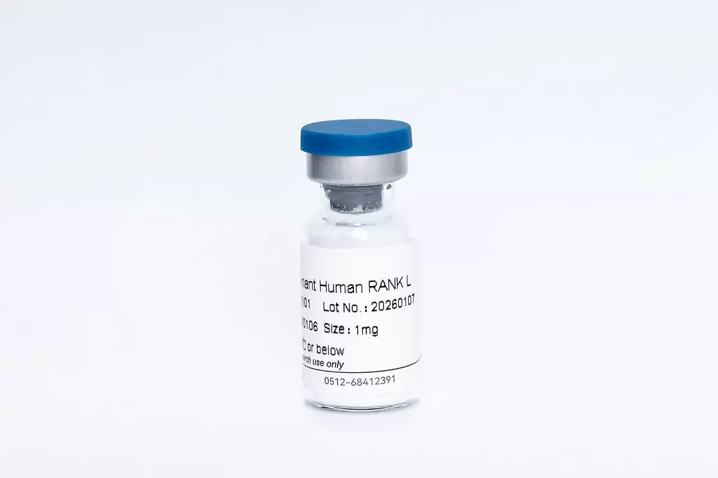 Recombinant Human RANK L