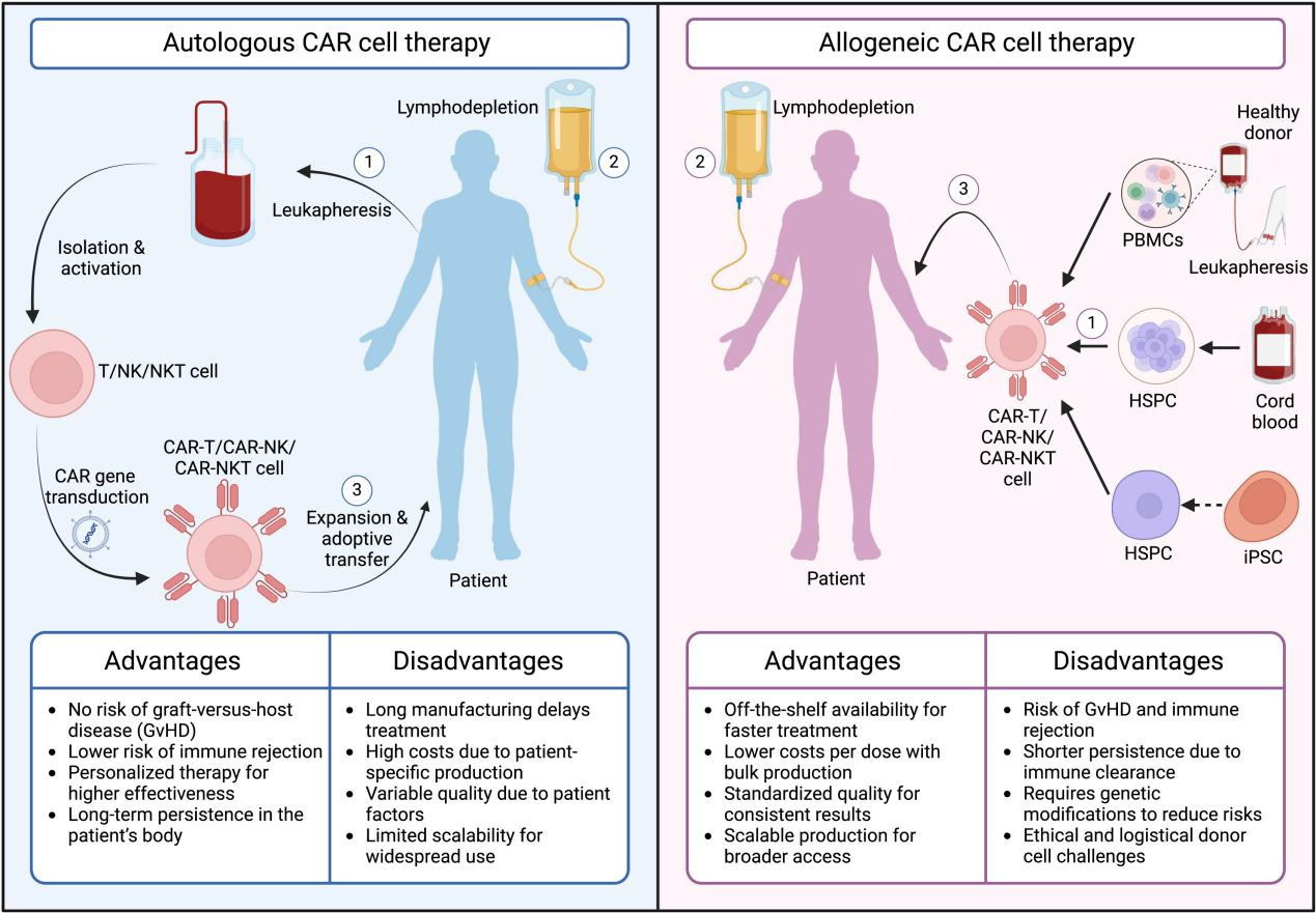 The CGT Era: When Cells and Genes Become "Living Drugs"