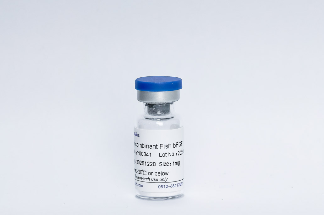 Recombinant Sparus aurata FGF-2/bFGF