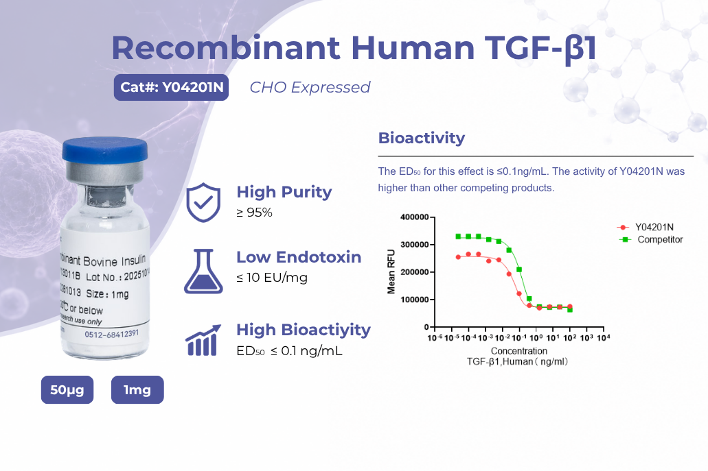 Recombinant Human TGF-&beta;1: Purity for Critical Biotech Applications