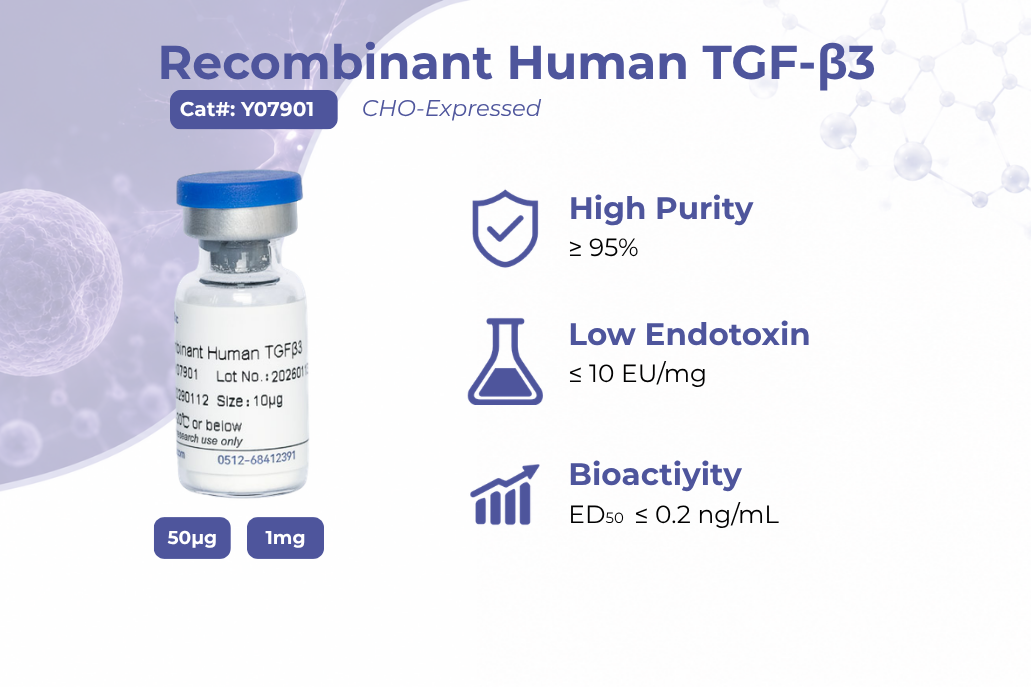 Recombinant Human TGF-&beta;3: Quality for Biopharmaceutical Innovation