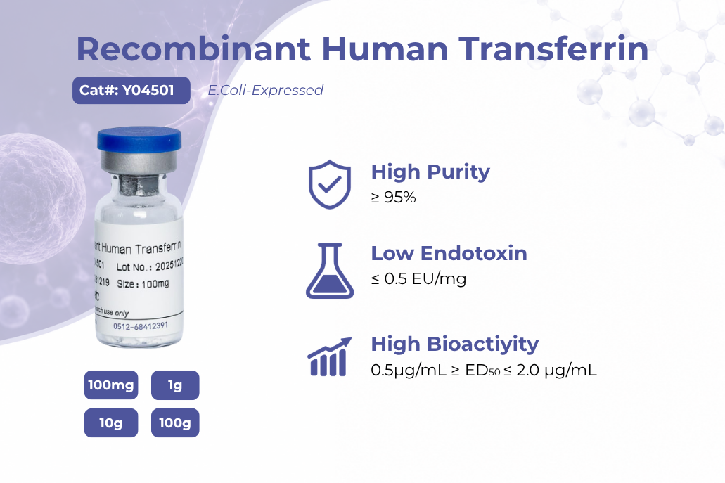 Recombinant Human Transferrin for Serum-Free Cell Culture Applications