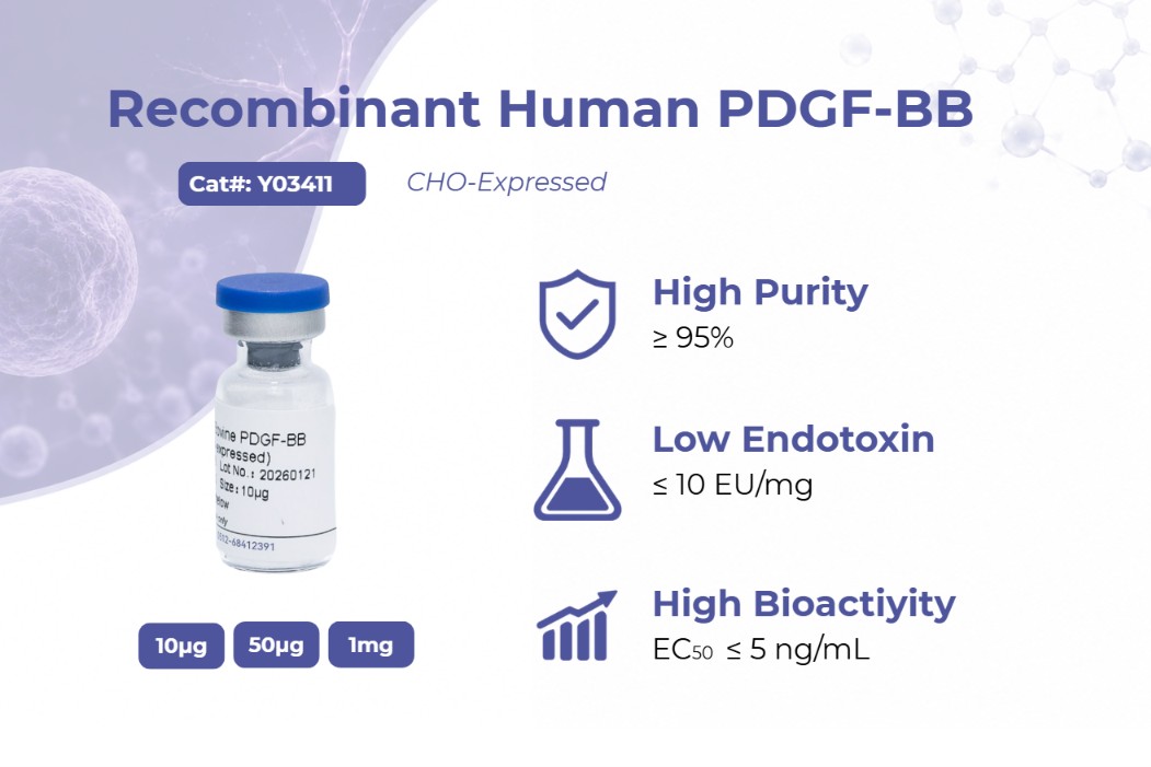 Recombinant Human PDGF-BB: Unlocking Cellular Growth Mechanisms