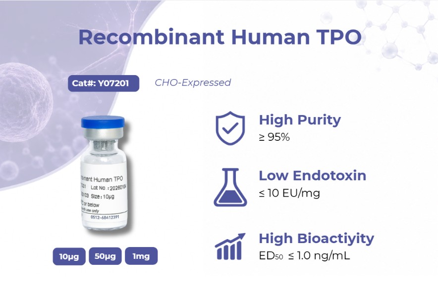 Recombinant Human TPO Protein: A Critical Cytokine for Hematopoietic Stem Cell Expansion and Cell Therapy Manufacturing
