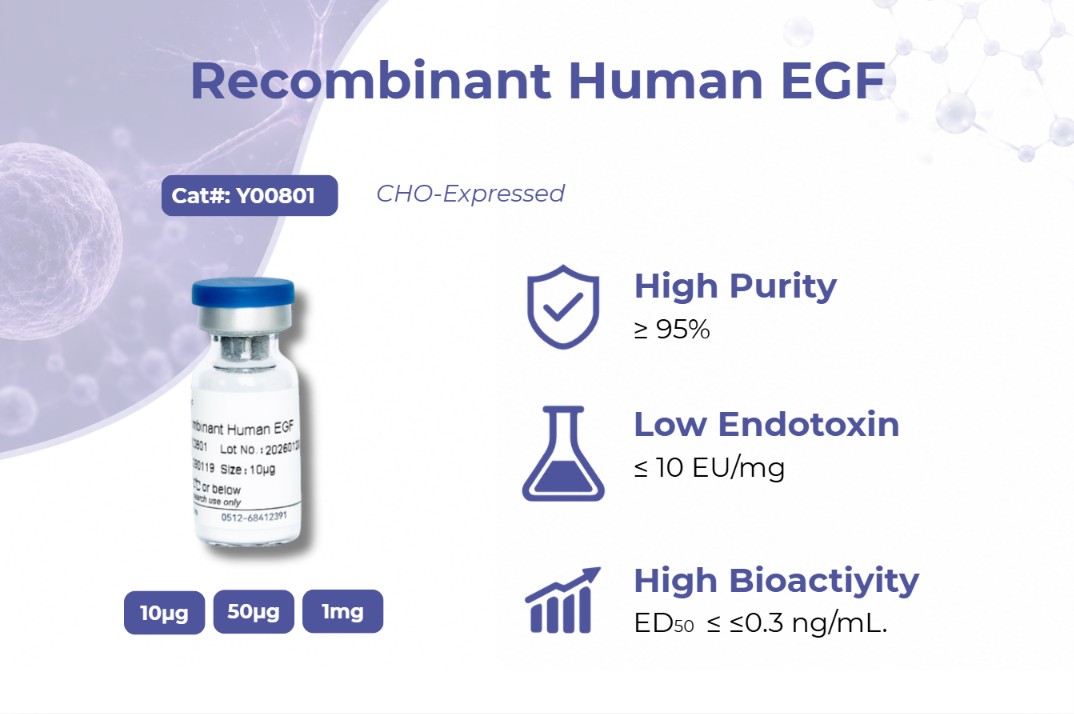 Recombinant Human EGF: Advanced Production and Biopharmaceutical Impact