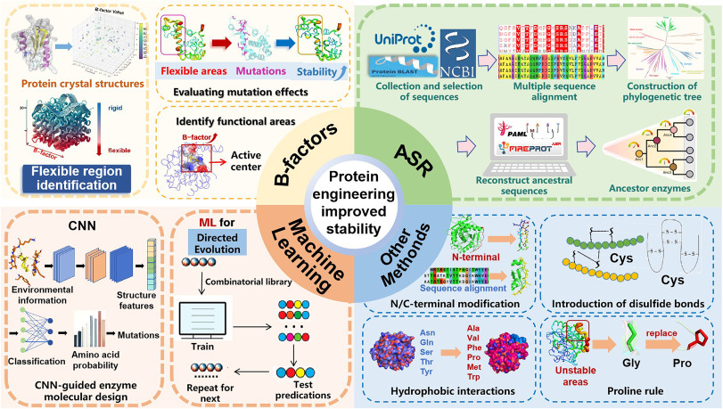 Protein Engineering and Formulation Strategies to Enhance Recombinant Protein Stability and Shelf Life