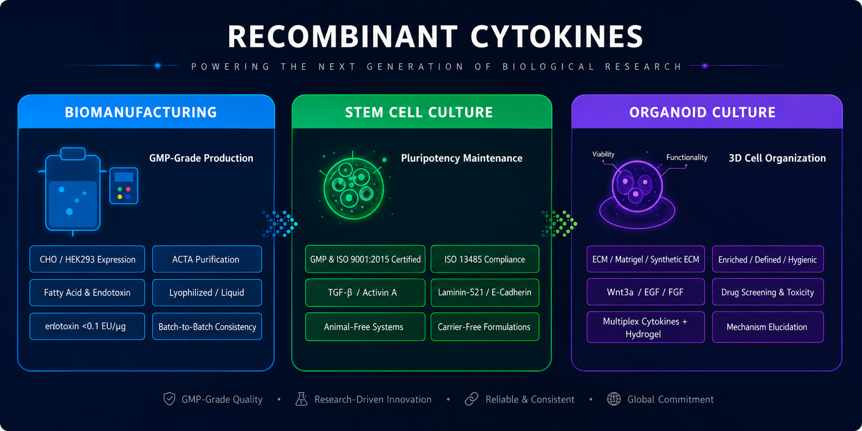 Recombinant Cytokines for Cell Culture: Essential Growth Factors for Biopharmaceutical Manufacturing, Stem Cells, Organoids, and Cell Therapy