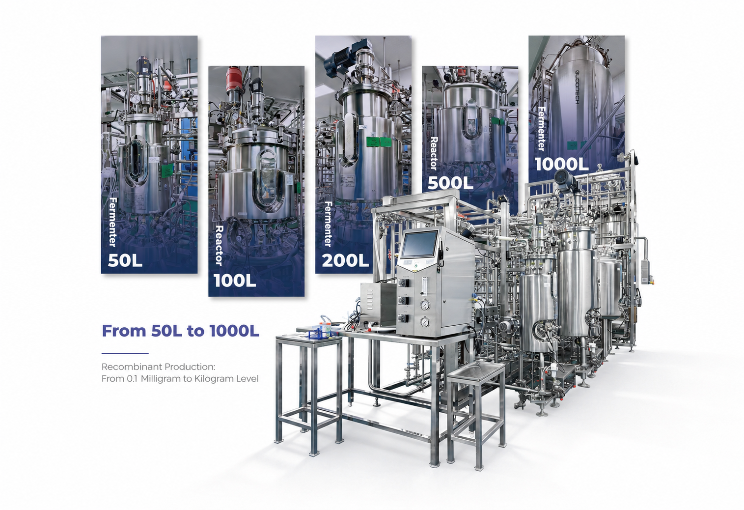 EastMabBio: Your Trusted Partner for GMP-Grade Recombinant Proteins, Cell Culture Media Supplements, and IVD Diagnostic Raw Materials