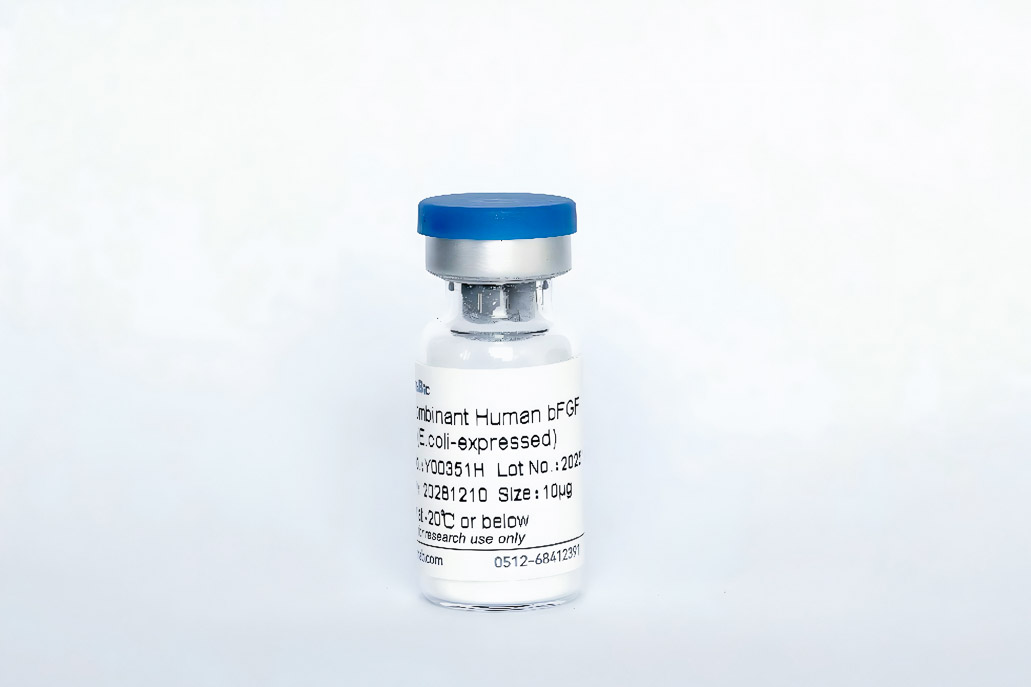 Recombinant Human bFGF (E.coli-expressed)