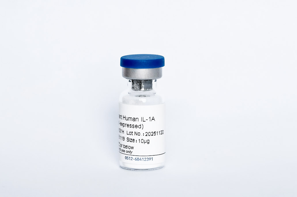 Recombinant Human FGF-4 (E.coli-expressed)