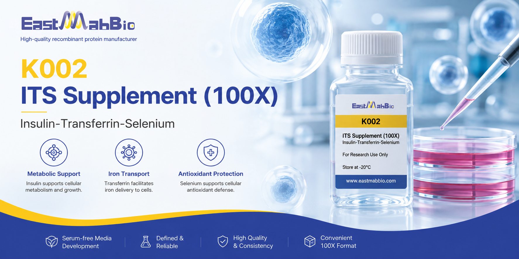 ITS Supplement for Serum-Free Cell Culture: Benefits, Functions, and Applications